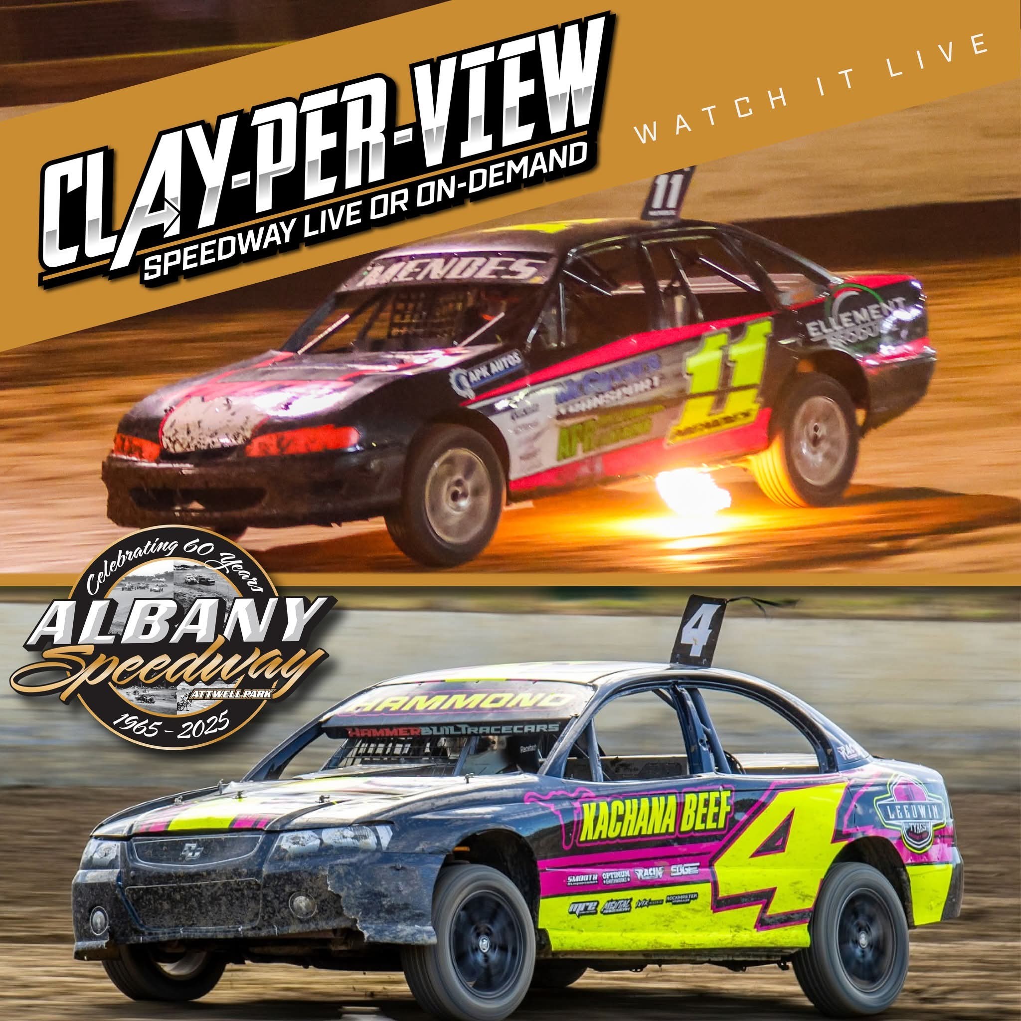 🏁 Can’t Make It to the Track? 🏁 No... - Albany Speedway Club | Facebook