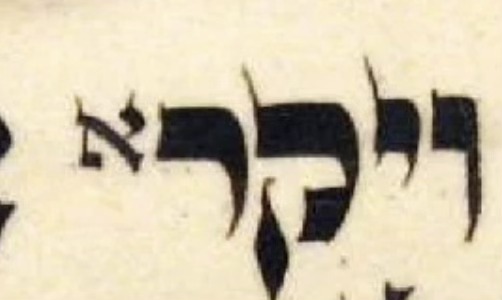 The Small Aleph in Leviticus 1:1:... - Hebrew in Israel | Facebook