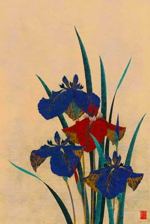 杉浦和利さん 菖蒲 Iris no.60 – 花菖蒲 | Tolman Collection of Tokyo