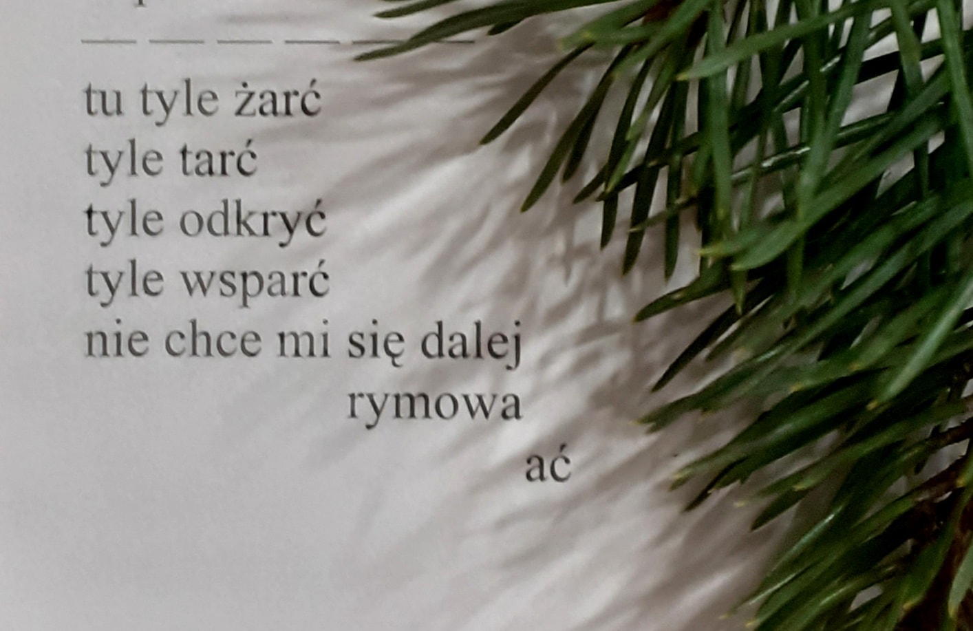 Miron Białoszewski - Grób Mirona Białoszewskiego. Na Powązkach, w ...