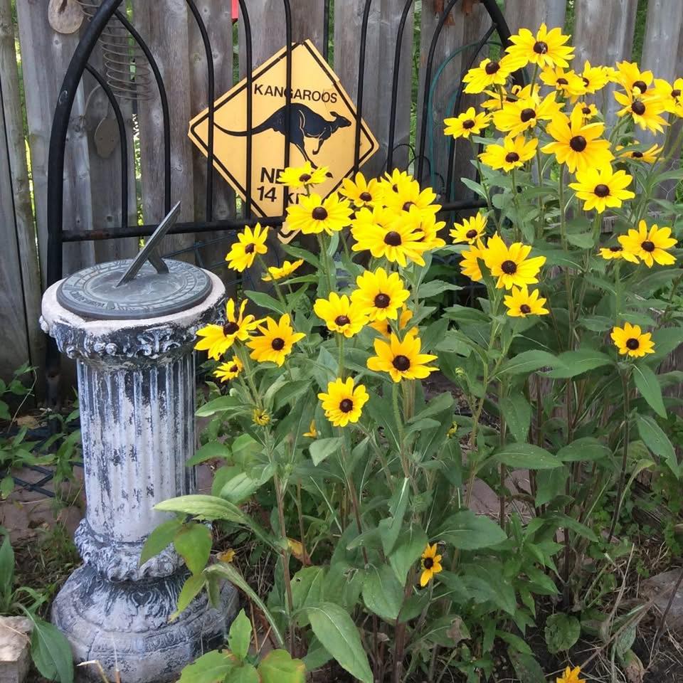 If You Grew Up In London, Ontario, You Will Remember When... | Just ...