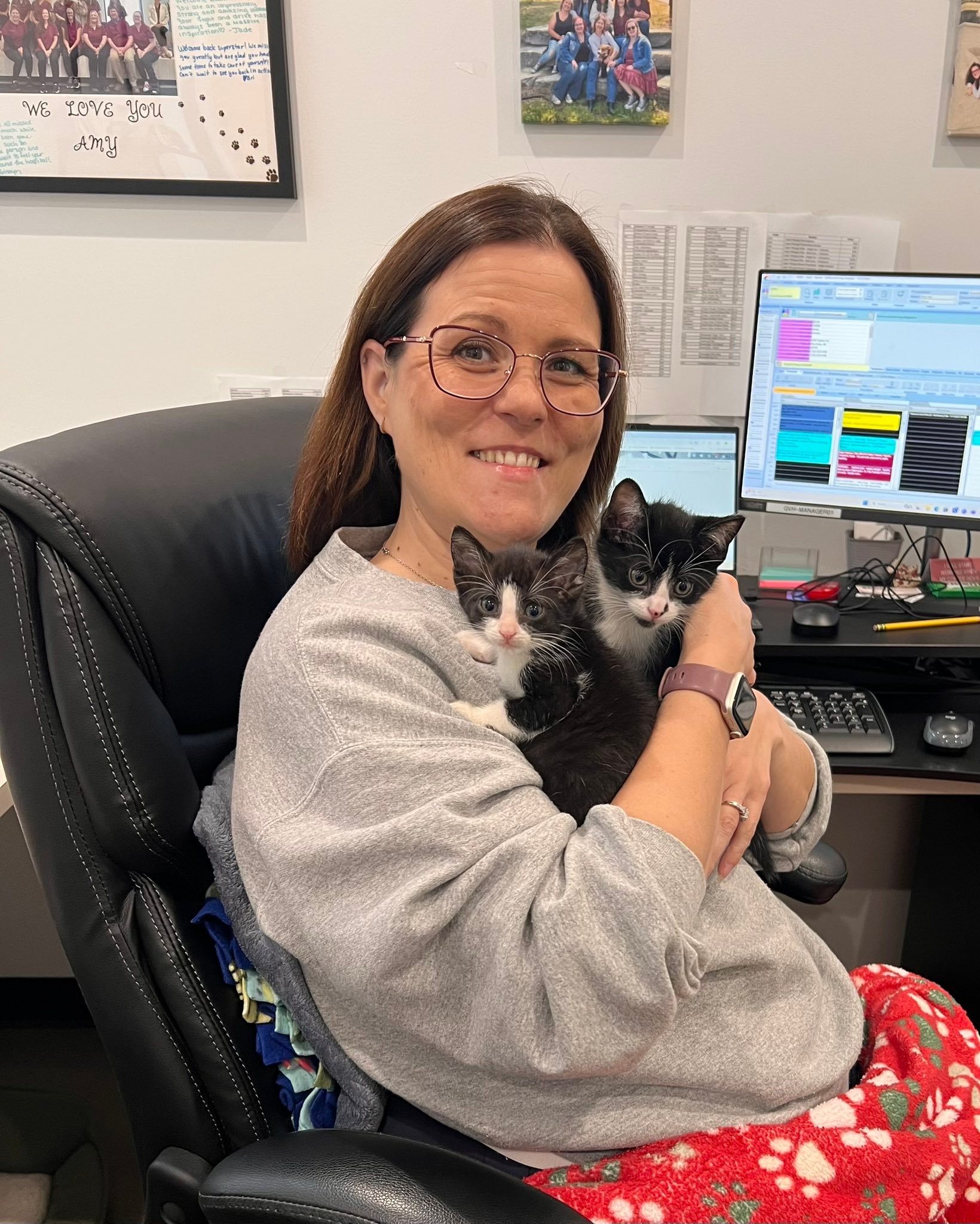 Happy National Cat Day!! 😻... - Griffith Veterinary Hospital | Facebook