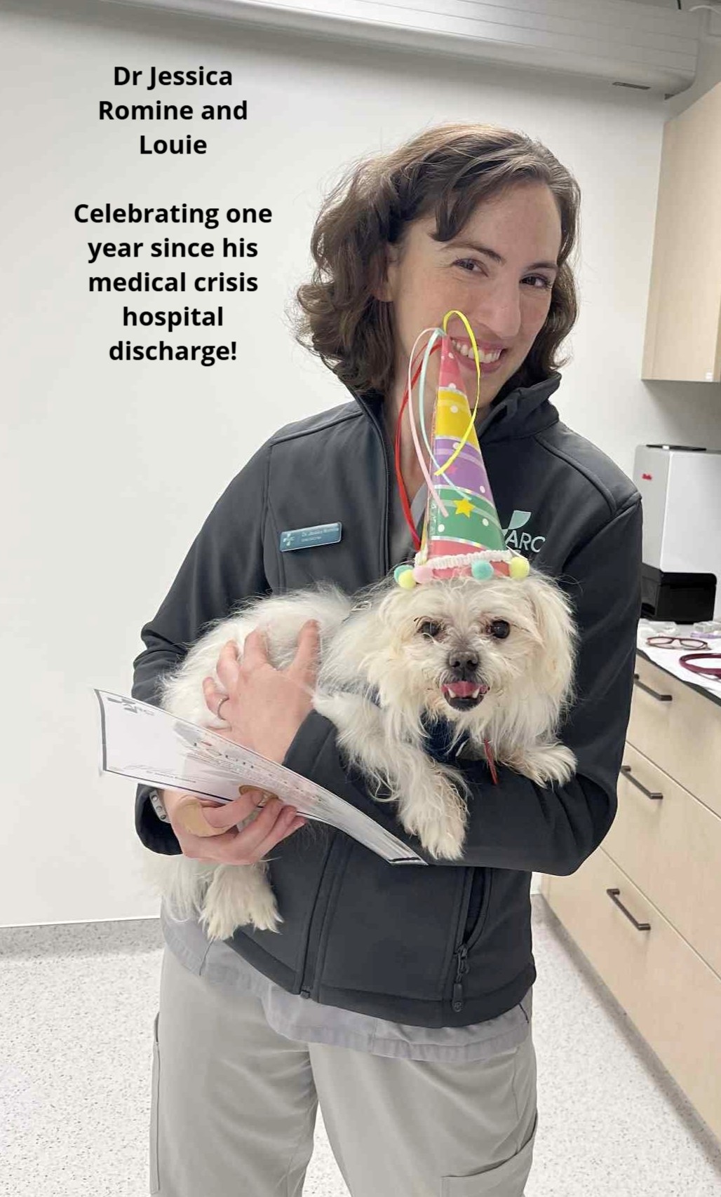 ARC Vets - Meet Louie 🐕🐾😍 Louie is a 10-year-old Maltese... | Facebook