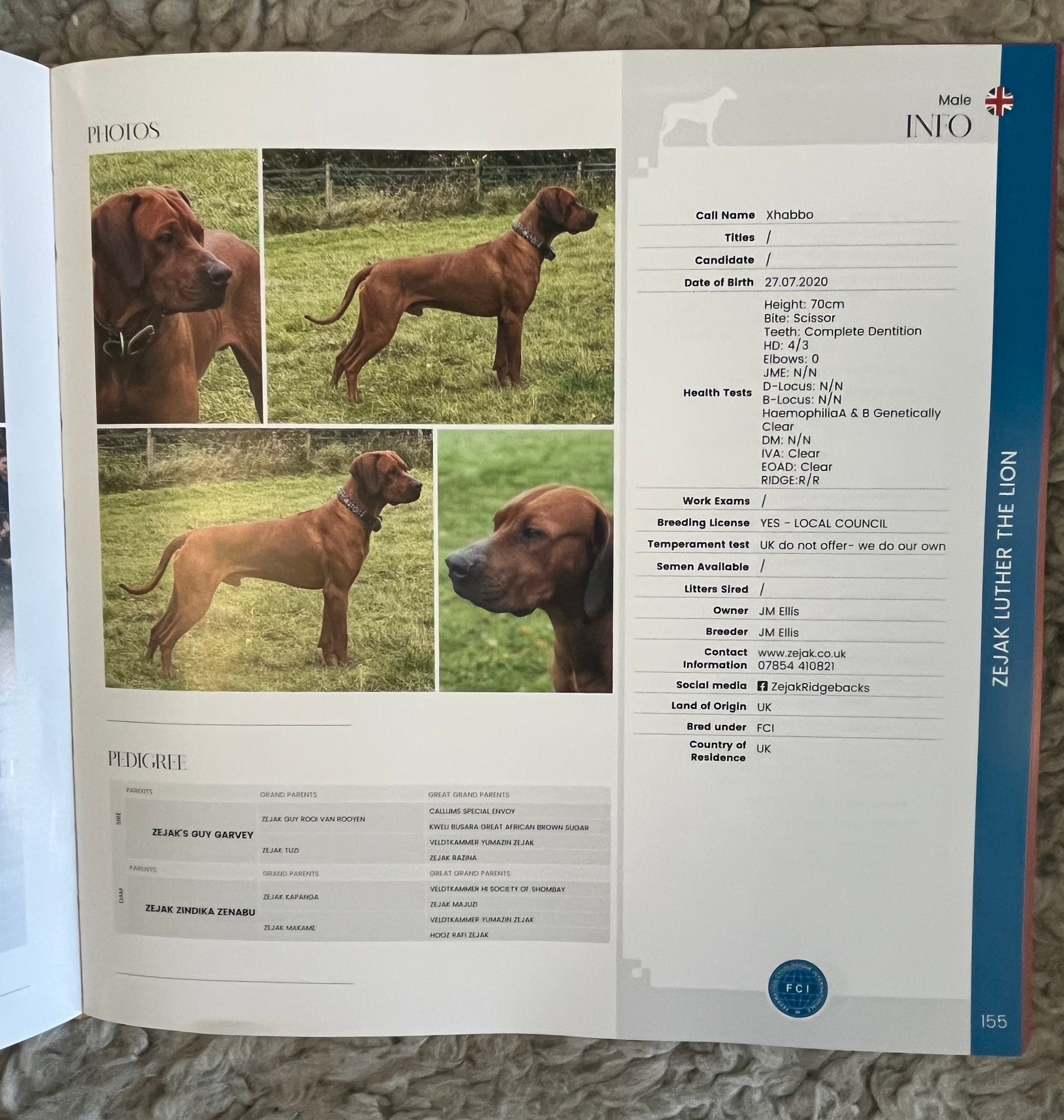 zejakridgebacks.co