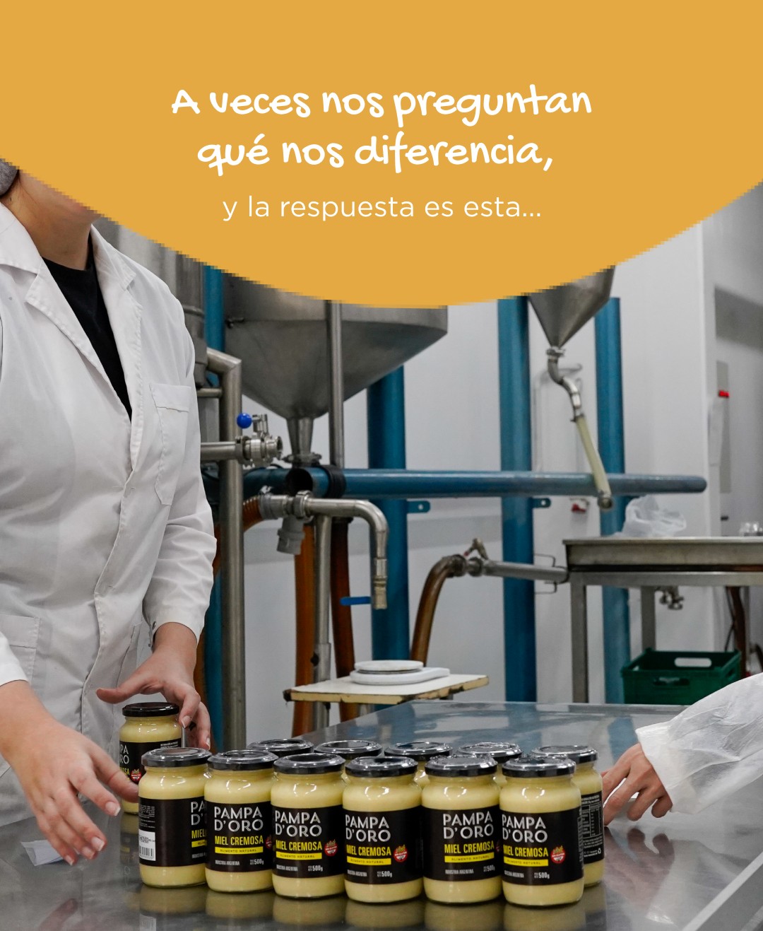 Somos esa generación que creció... - Grupo Terra Argentina | Facebook