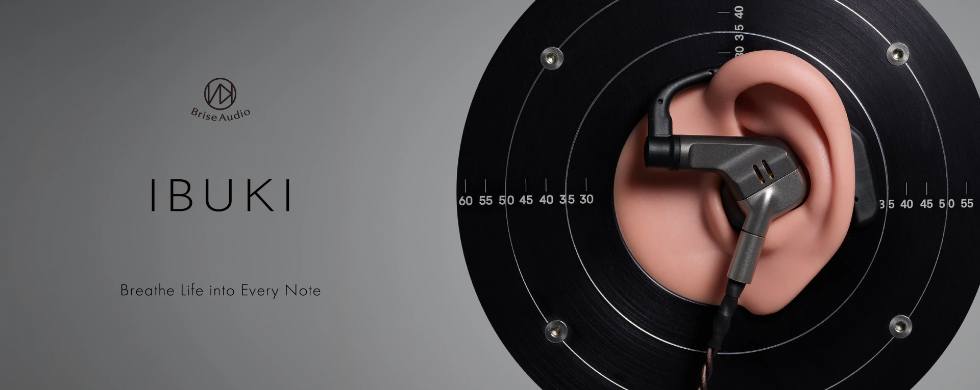 Brise audio fukubukuro c cable review and comparison
