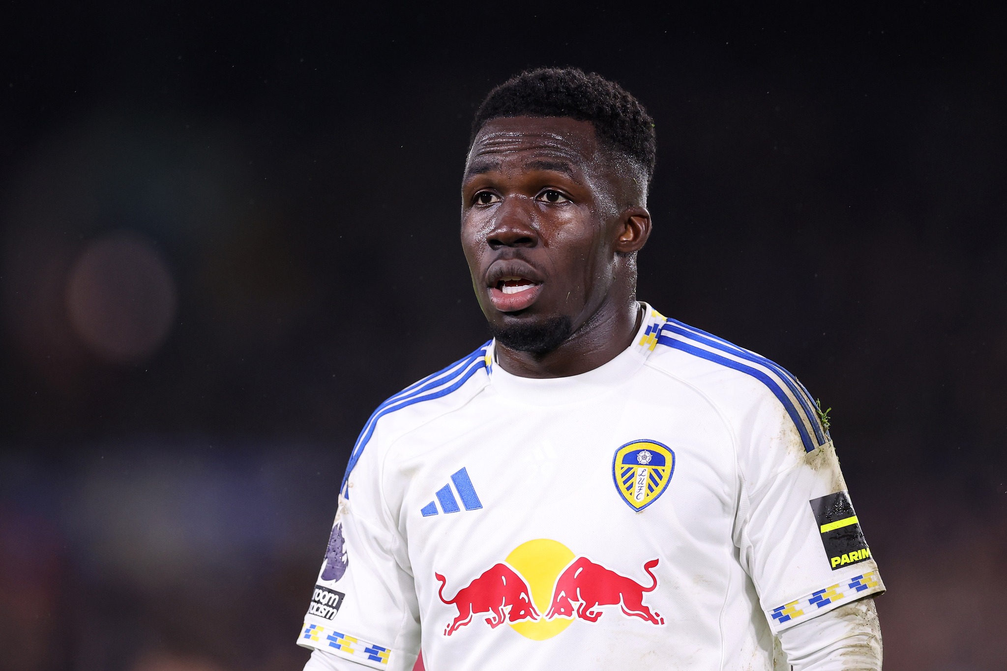 'It's not easy' - Willy Gnonto... - Leeds United - YEP | Facebook