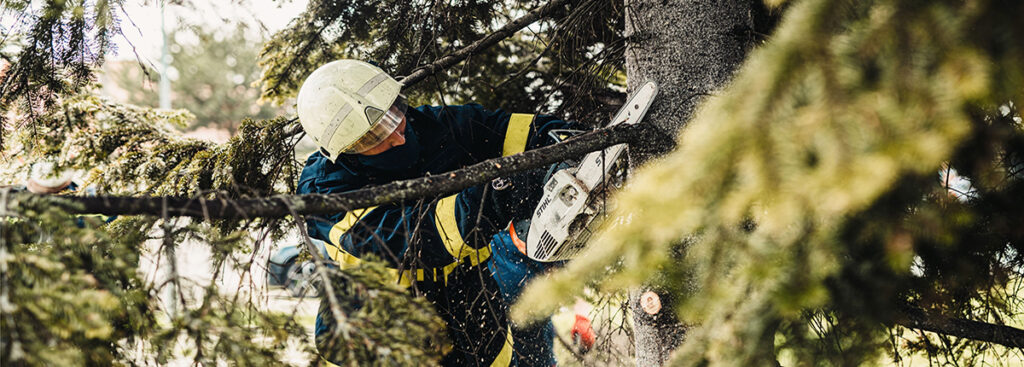 Tree Pruning (In-person Training Course)