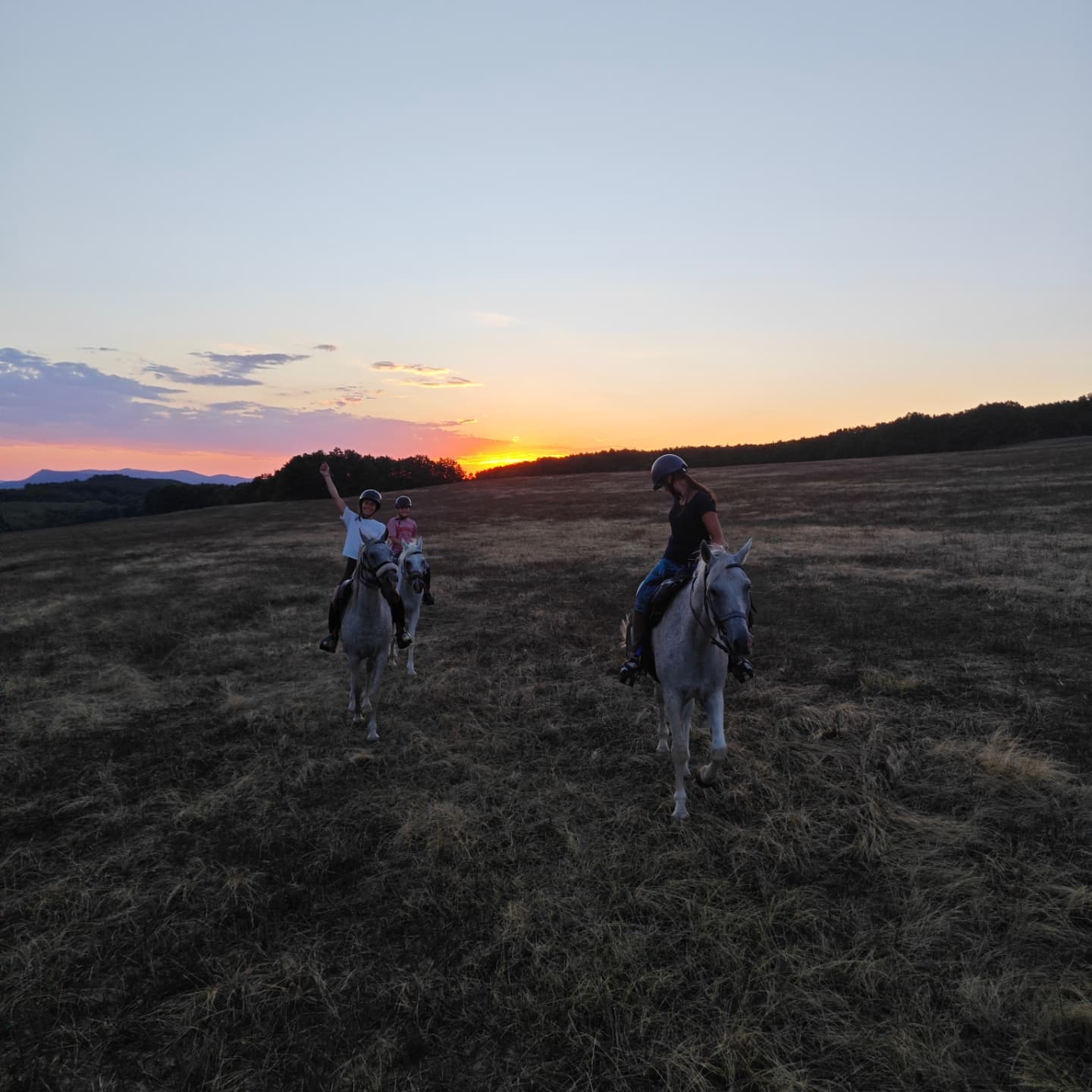 Alfa Riders | Sevlievo