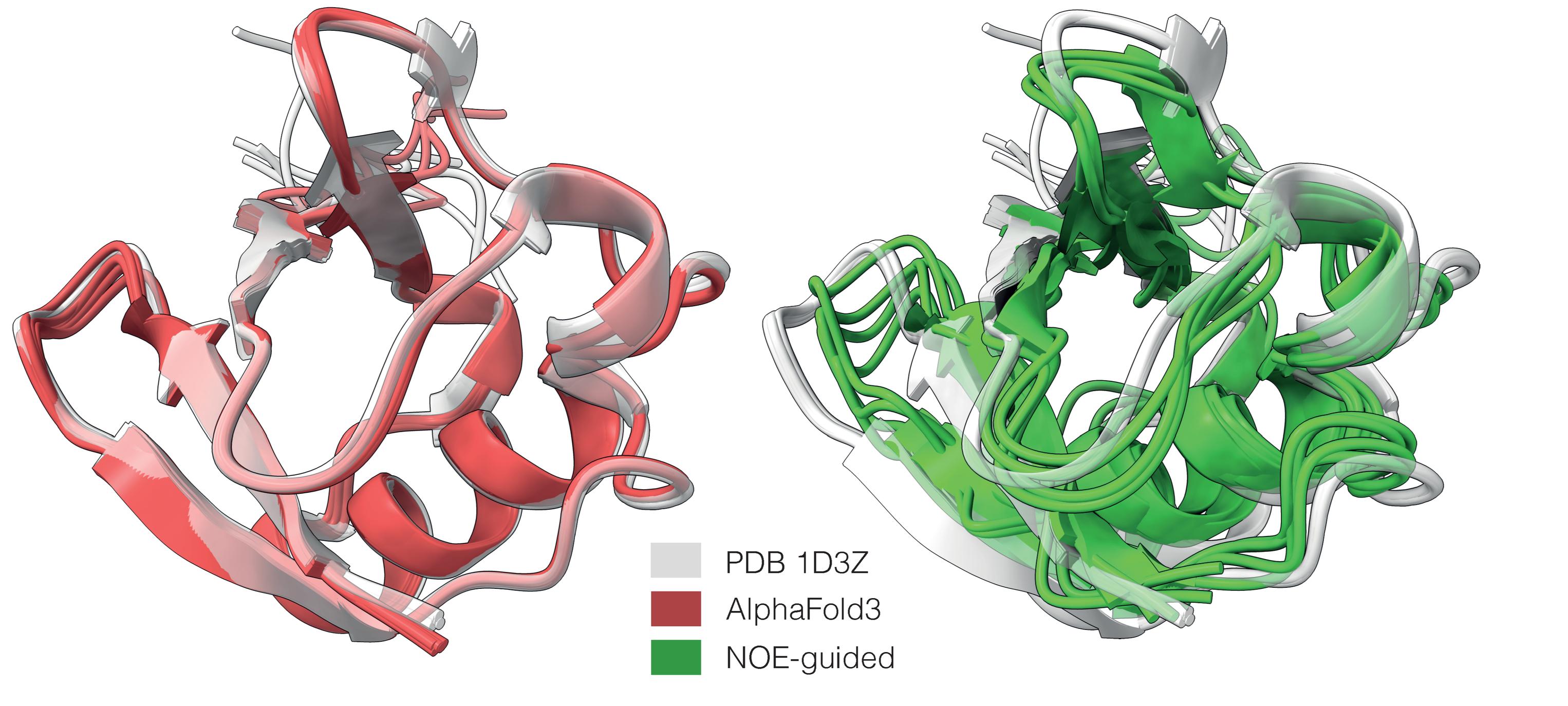 AlphaFold—an AI tool that revolutionized structural biology and