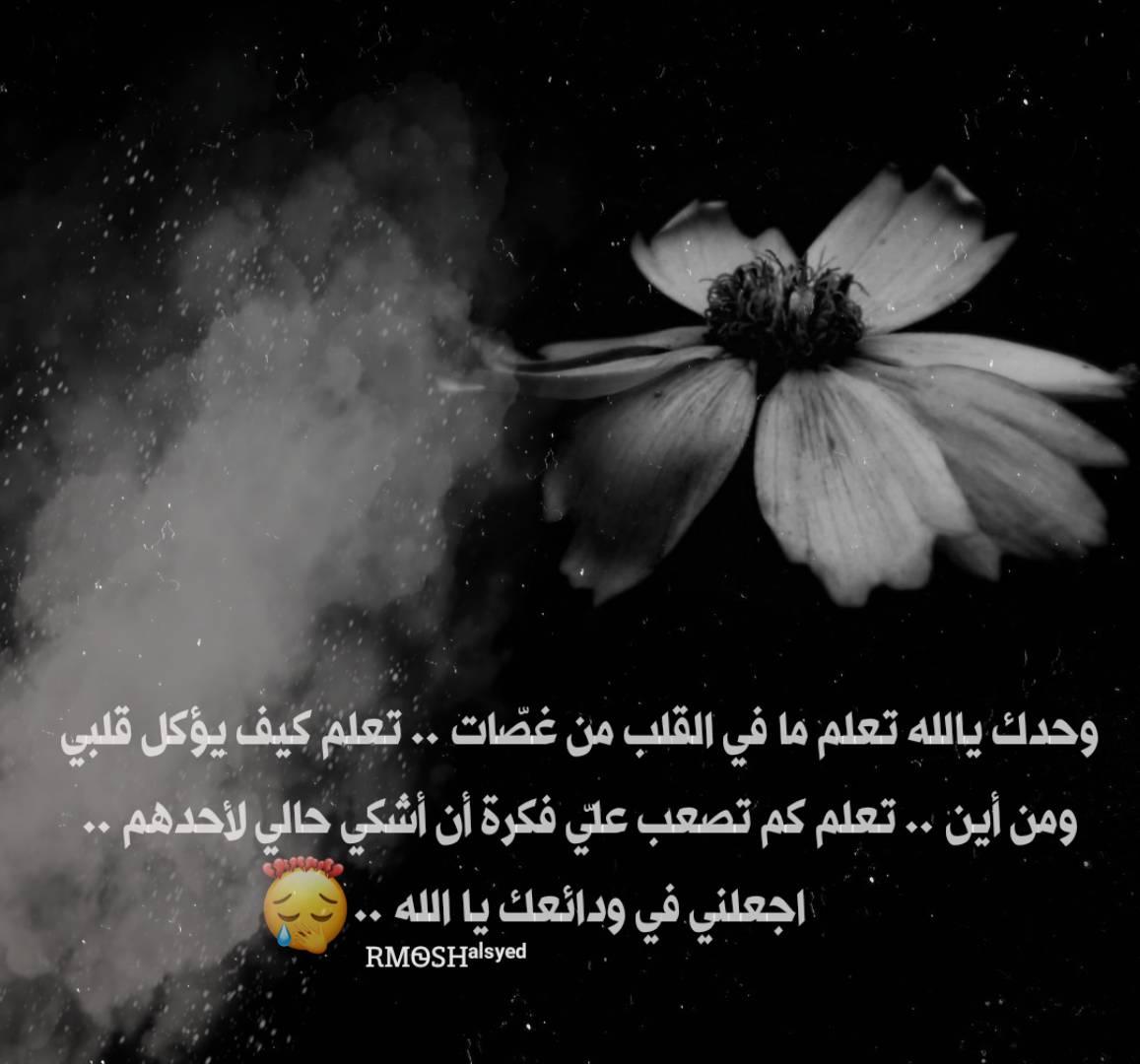 يآل ـ ـ ـ ـ ـ ـل ـ ـ ـ ـ ـ ـه اوجاع مغتربة Facebook