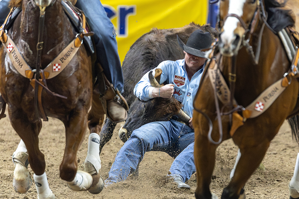 TwisTed Rodeo