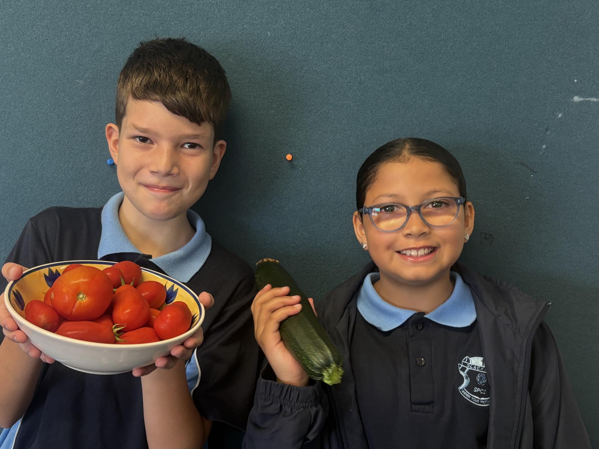 St Patrick's... - St Patrick's Primary School Blacktown