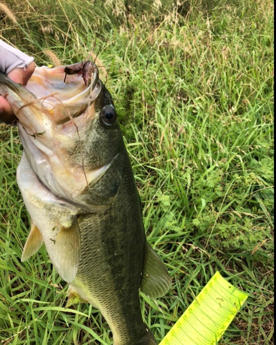 True North Fishing