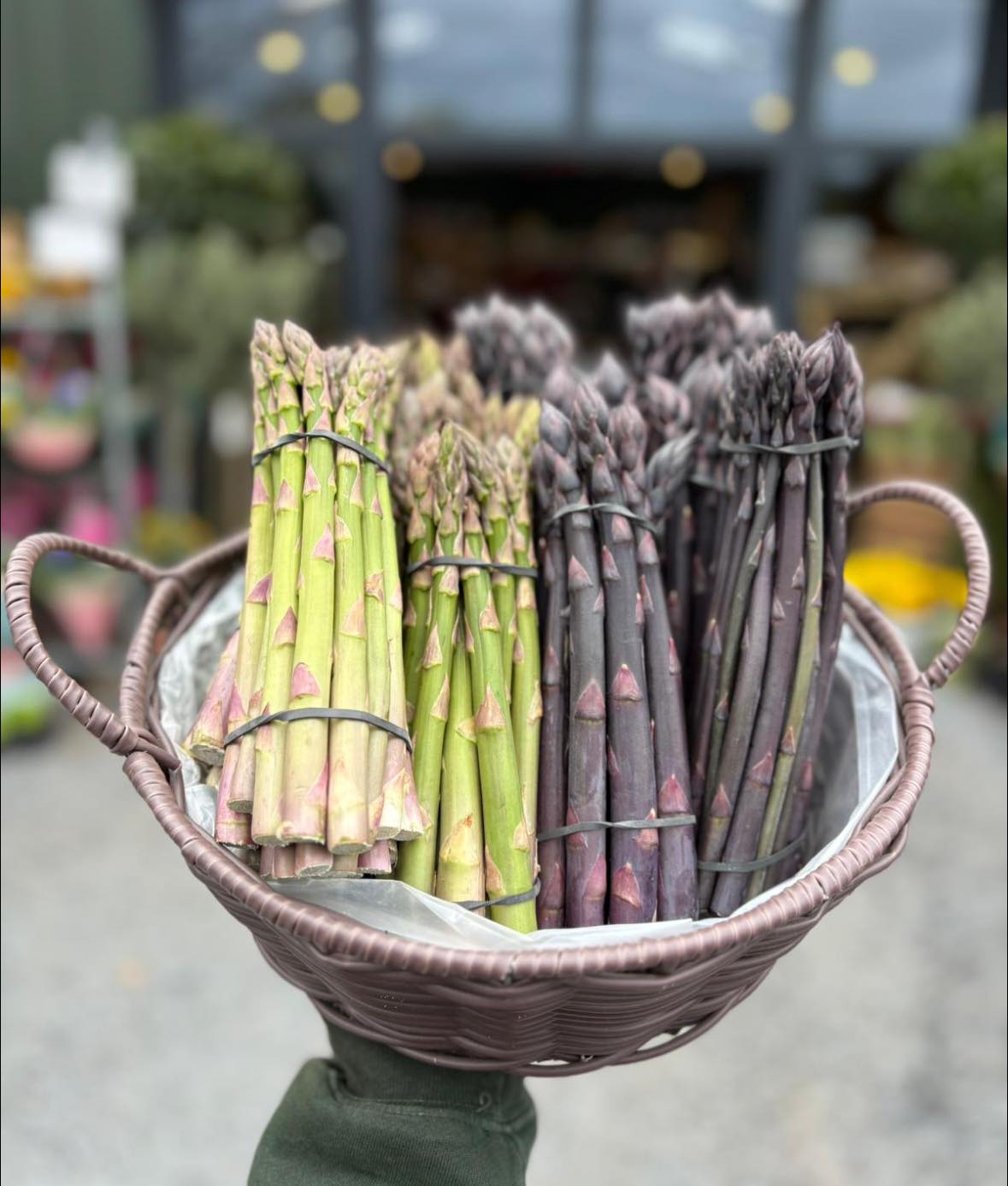 🌱 Fresh in from Quatt Farm – British Asparagus Season 🌱 We're pleased to share that locally grown asparagus from Quatt Farm is now available in the shop. Carefully harvested at its