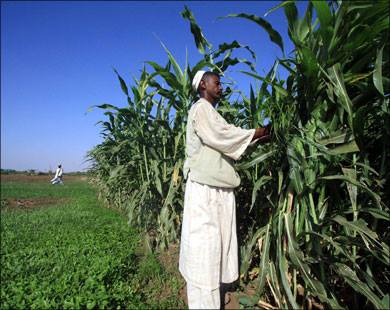 وضع الزراعة في السودان الـمـجــلـة الاقــتــصــــادية فيسبوك