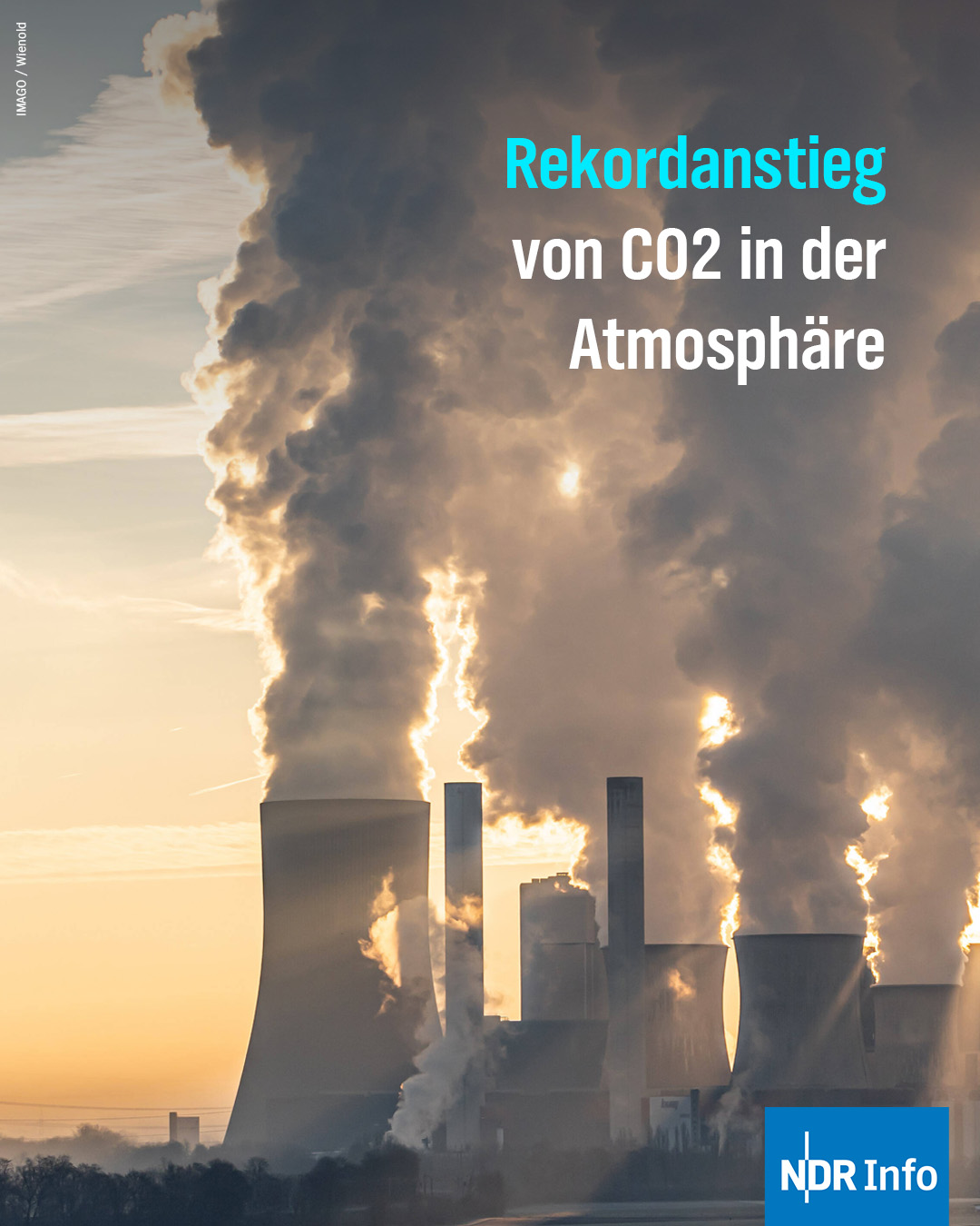 NDR Info - 2024 stieg der CO2-Gehalt in der Atmosphäre so... | Facebook