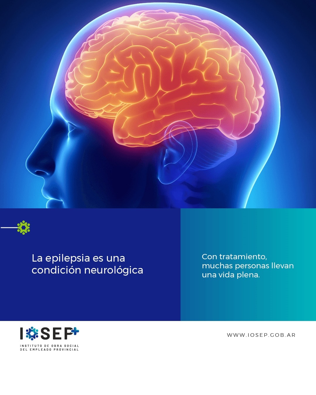 🩺 Día Mundial de la Mujer Médica 🩺... - IOSEP Obra Social | Facebook
