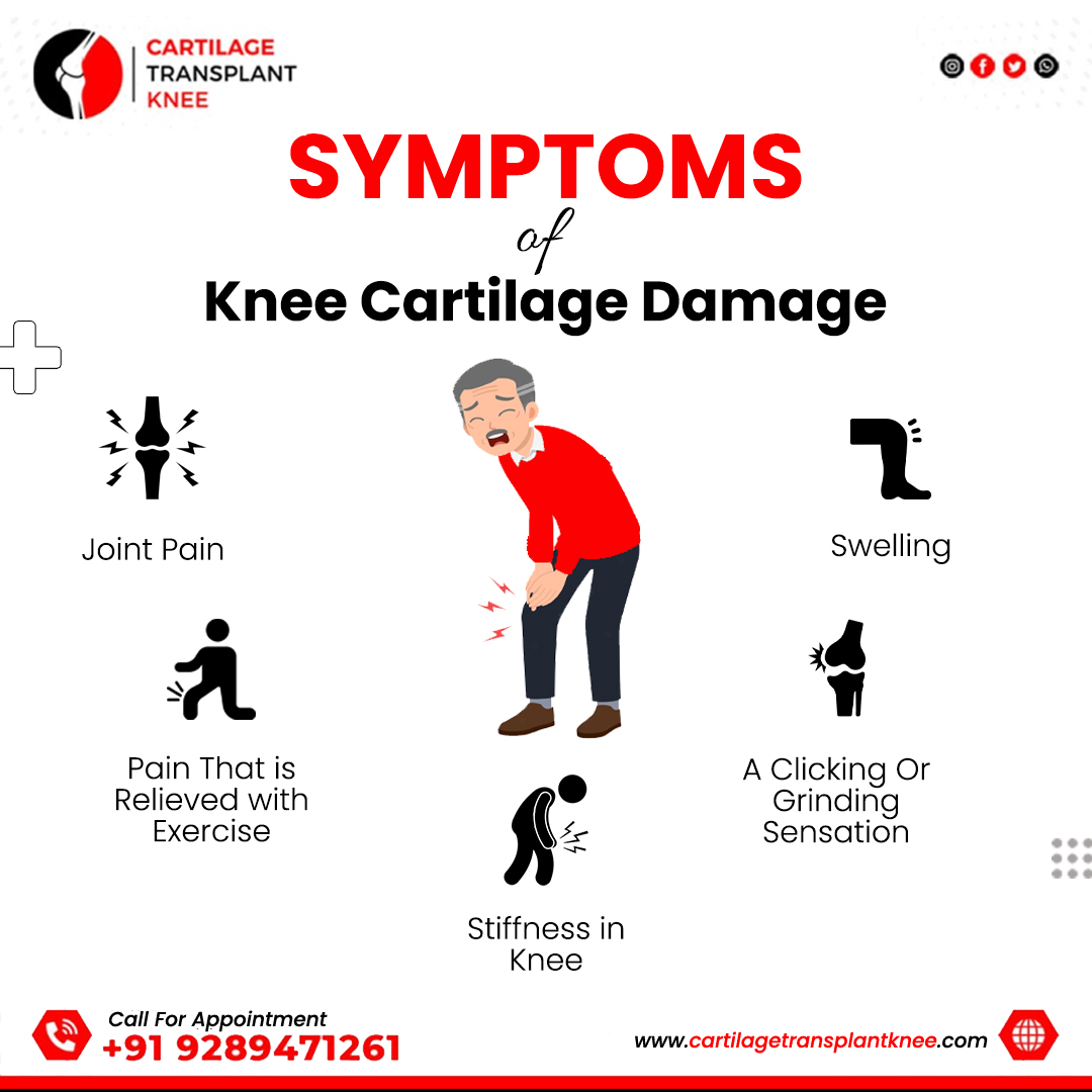 Cartilage - Do you know the signs of knee cartilage damage? Pain ...