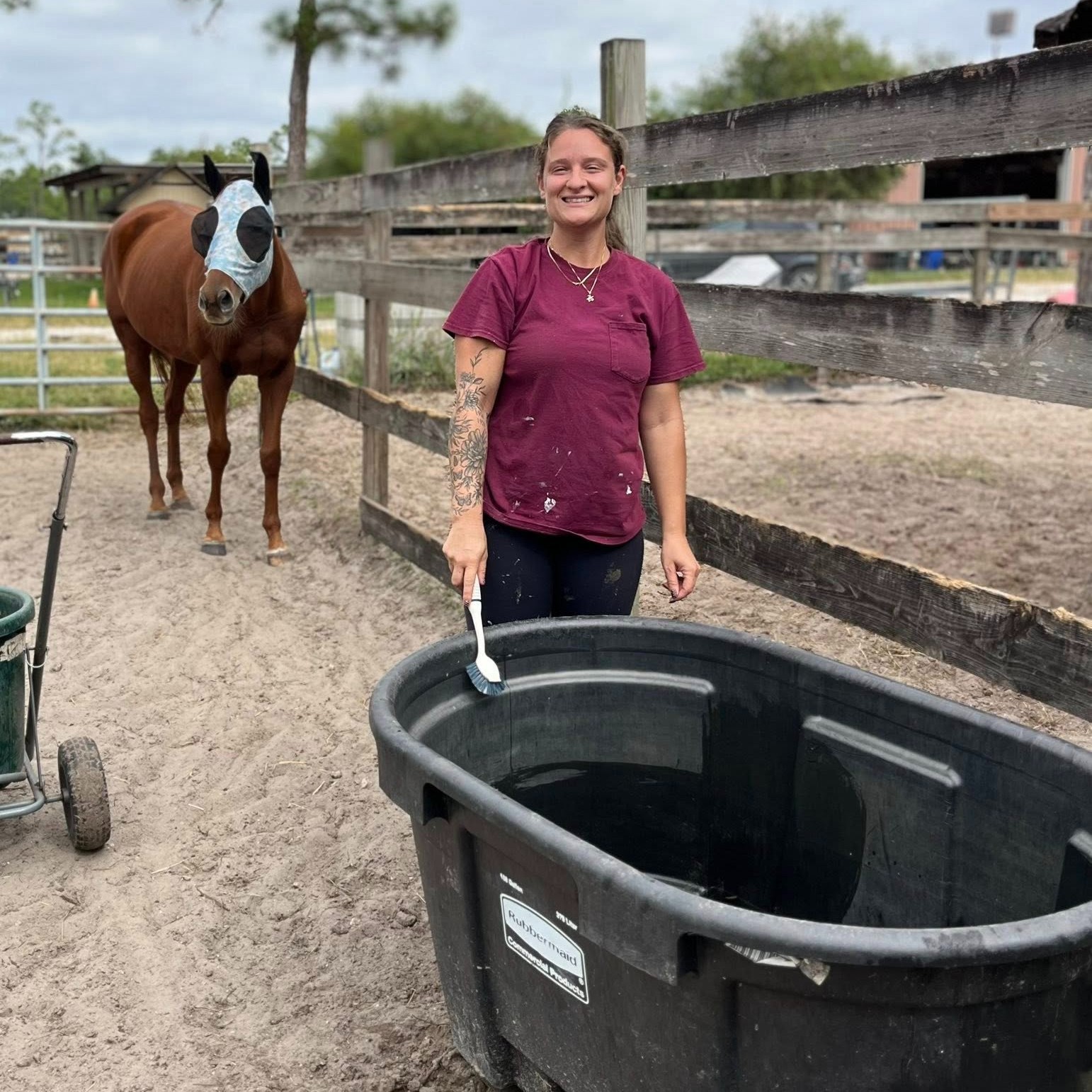 ERAF -... - ERAF - Equine Rescue and Adoption Foundation