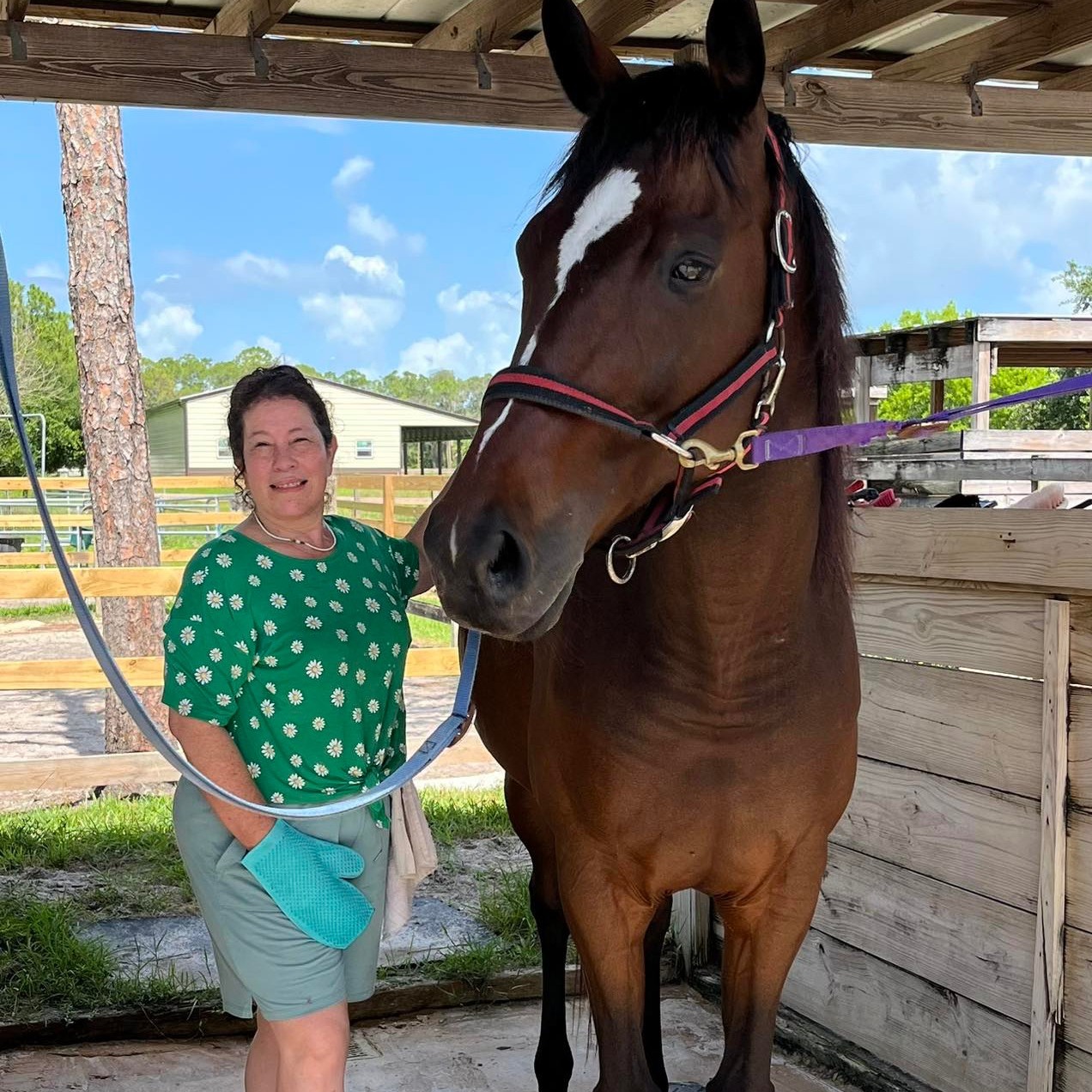 ERAF -... - ERAF - Equine Rescue and Adoption Foundation
