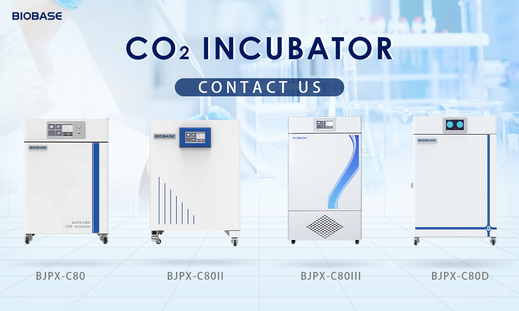 Biobase - CO₂ Incubator | Create the Ideal Environment for Cell Growth ...