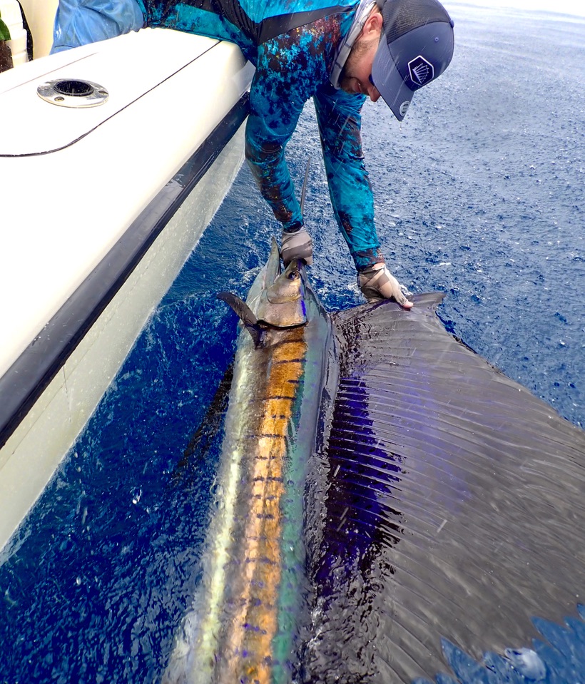 Come Fish Panama added a new photo. - Come Fish Panama