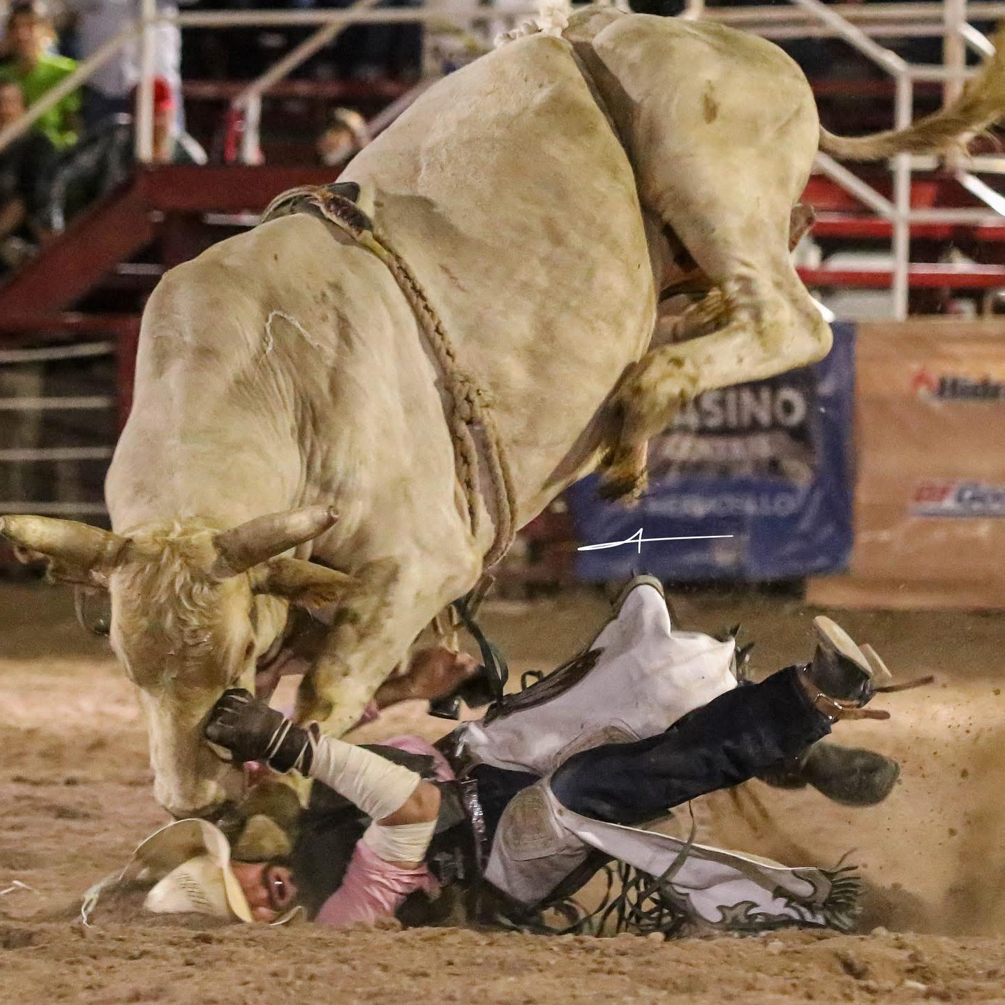 Long Live Cowboy. 📸 Alan Miles Mx... - Rodeo Baja Leyendas | Facebook