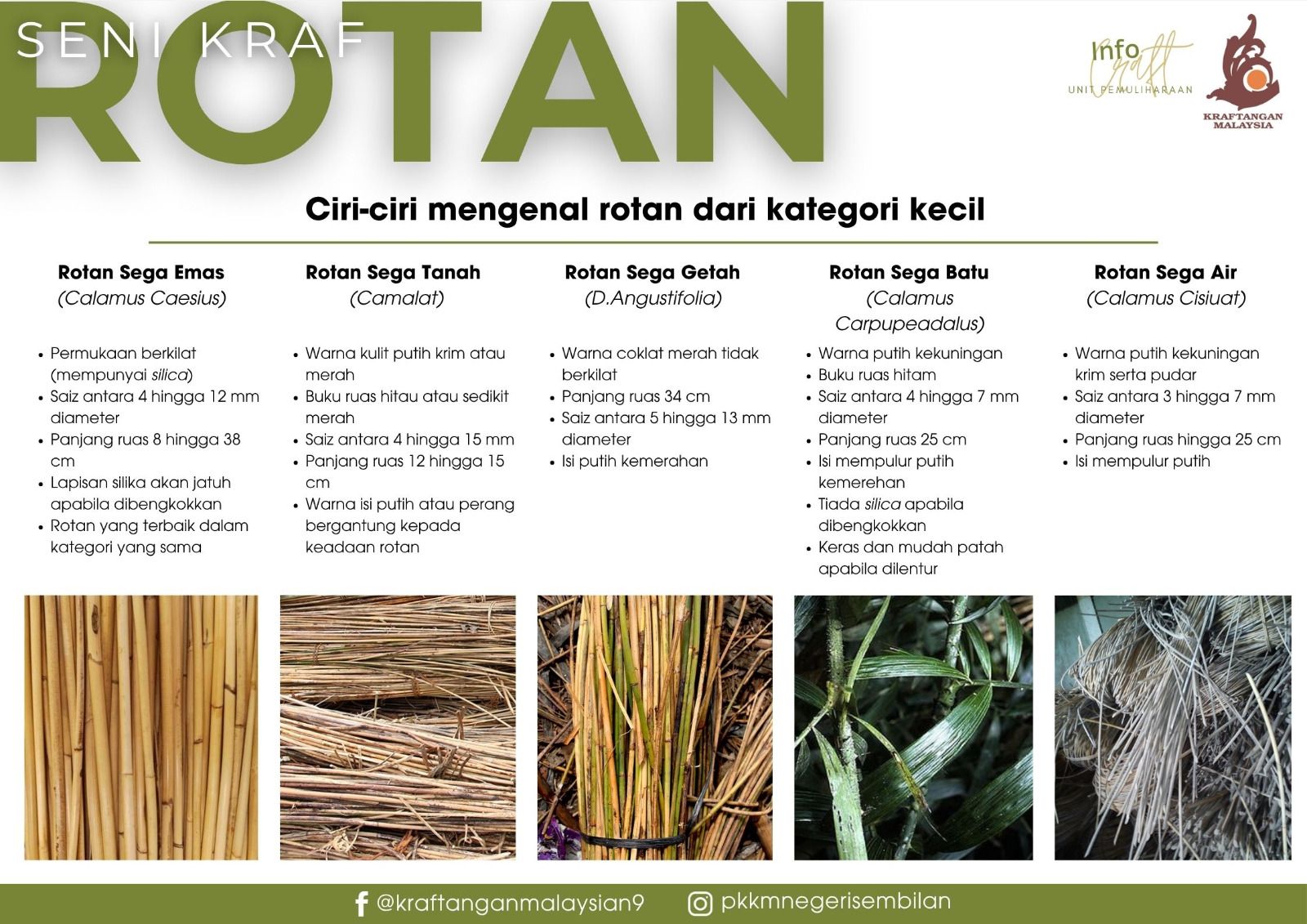 Preka - 🎋 MENGENALI ROTAN – WARISAN SERBAGUNA 🎋 Rotan bukan sekadar ...