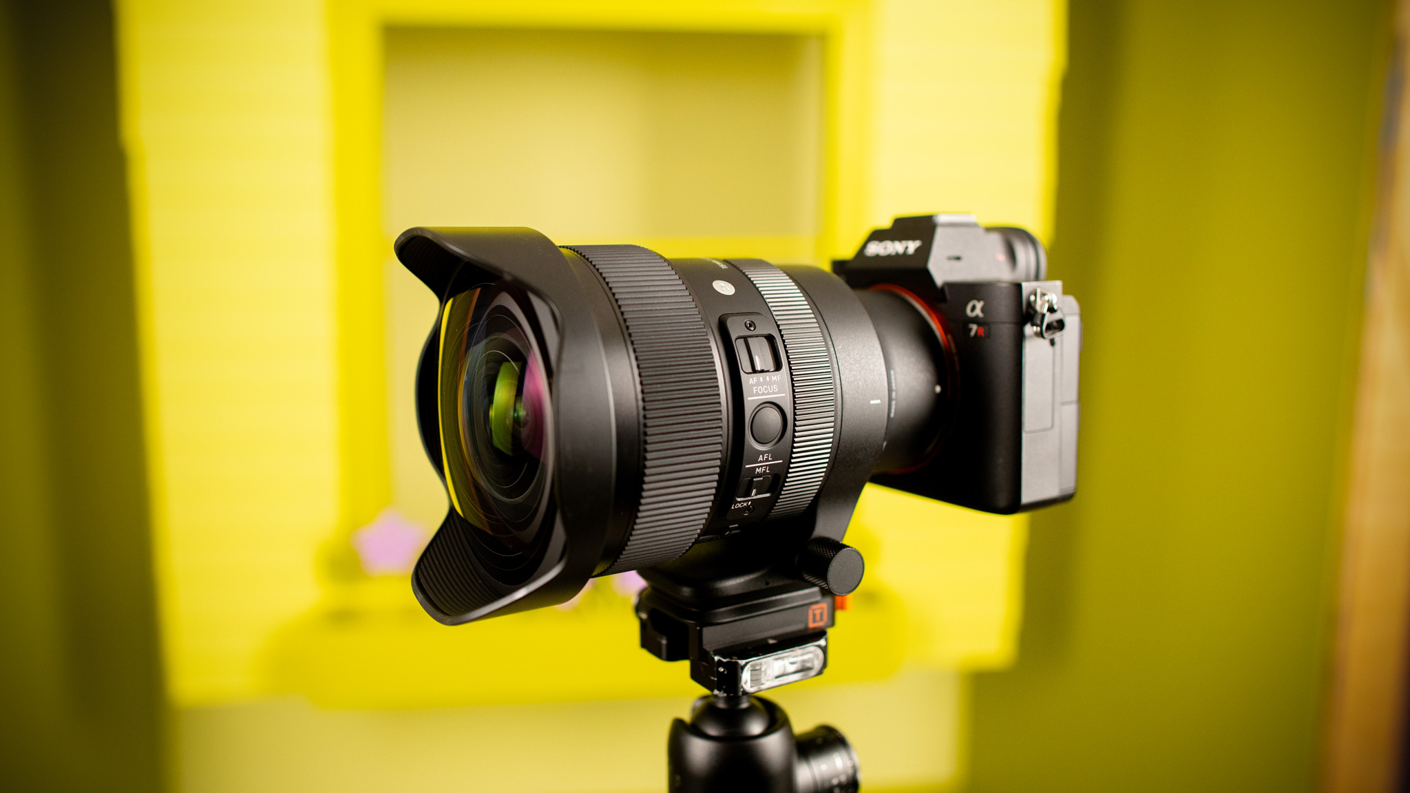 SIGMA - The LUMIX S9 with the SIGMA 28-70mm F2.8 DG DN 
