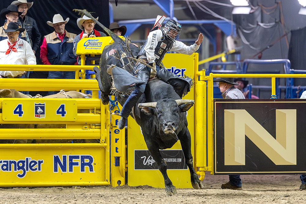 TwisTed Rodeo