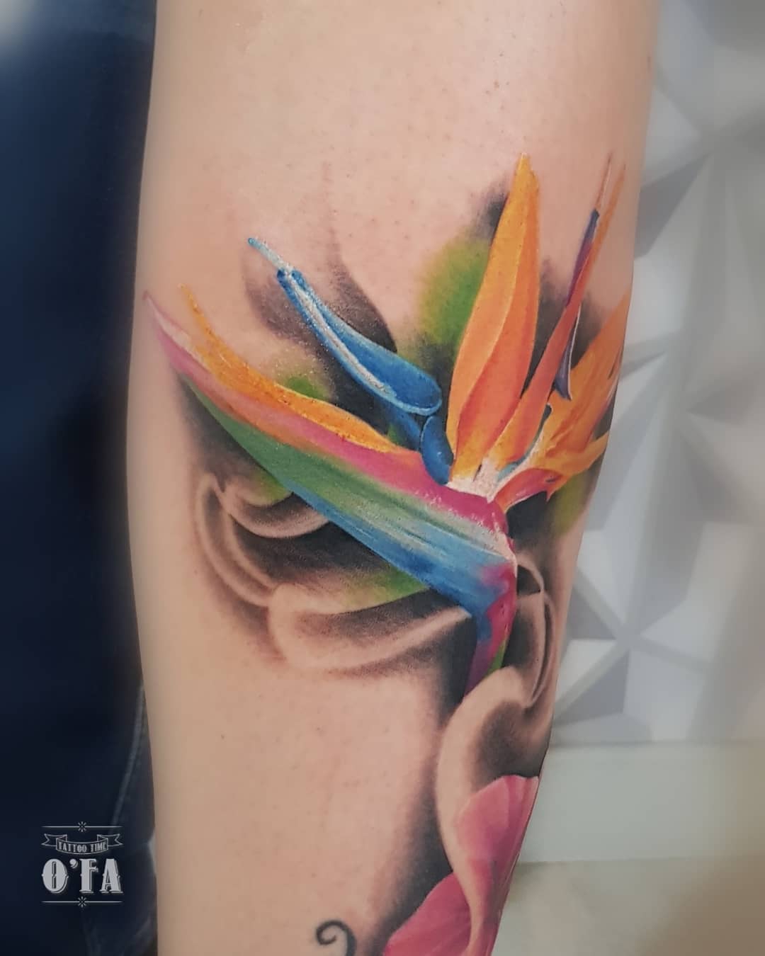 Tatouage Oiseau Du Paradis Fleur