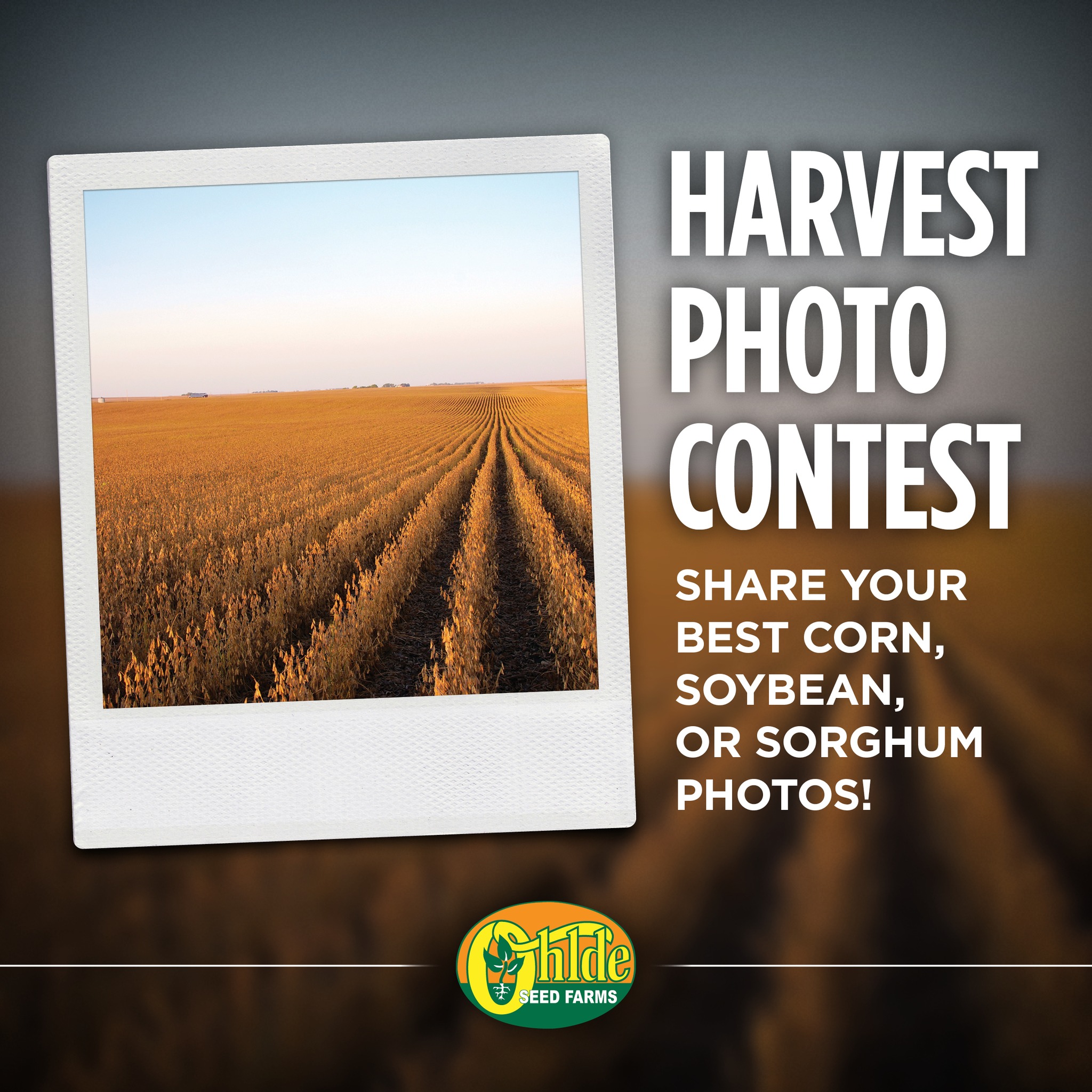 Ohlde Seed Farm | Palmer KS