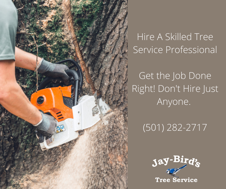 Jay-Bird's Tree Service | Royal AR