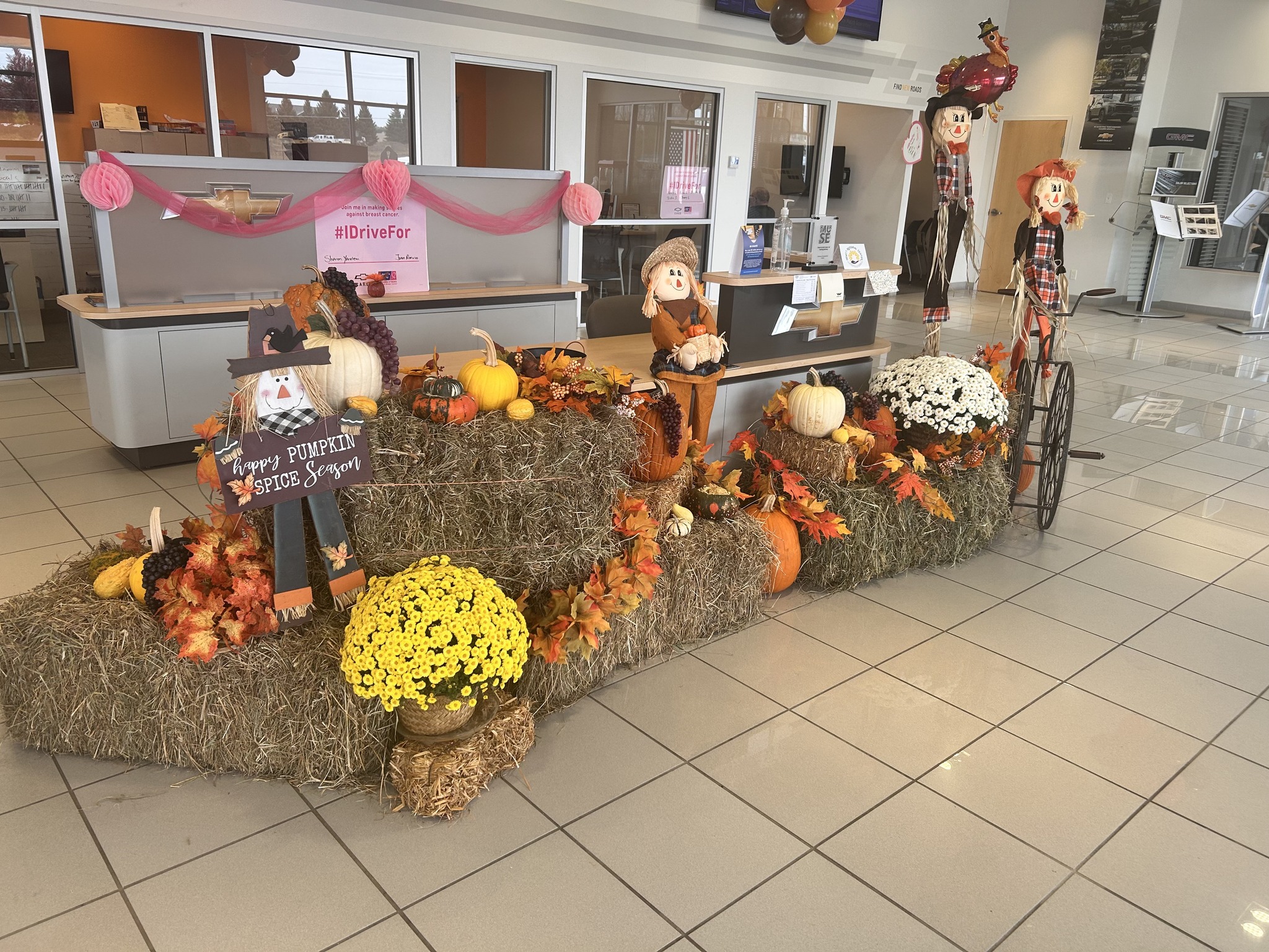 🍁 Fall has officially... - Ed Morse Chevy GMC of DeWitt | Facebook
