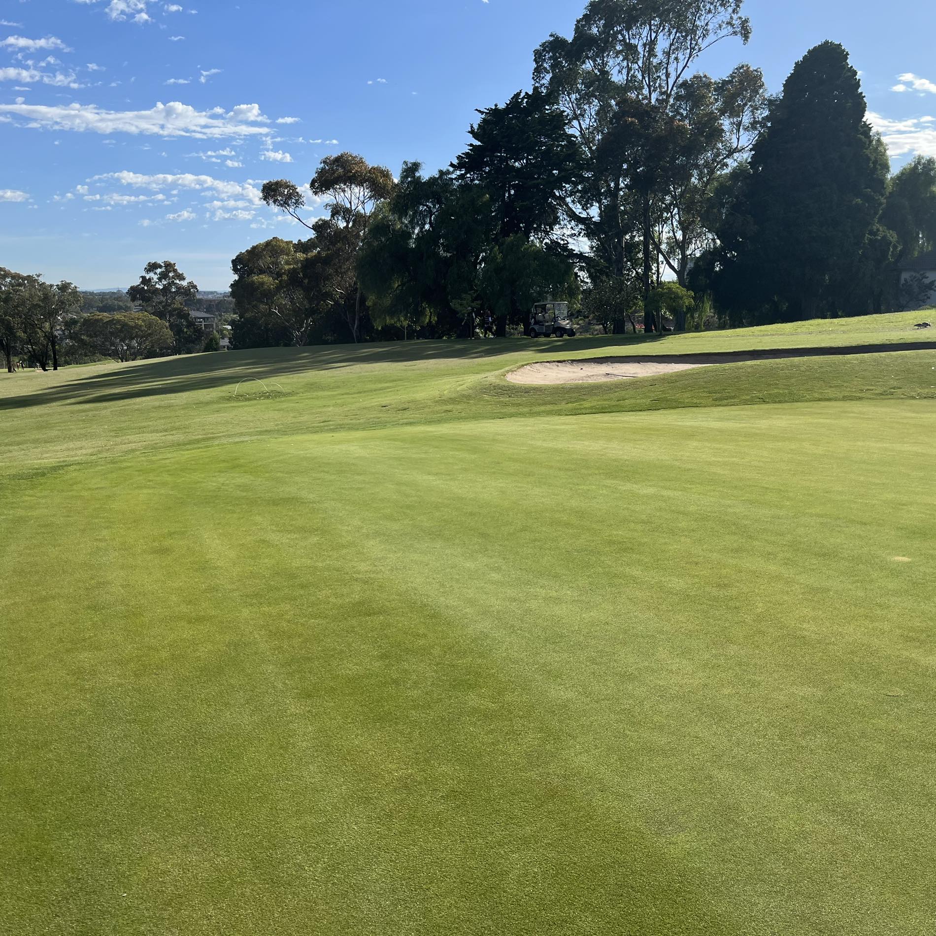 The 2026 season of @boxhillwomensgolf starts now! #boxhillgolfclub # ...