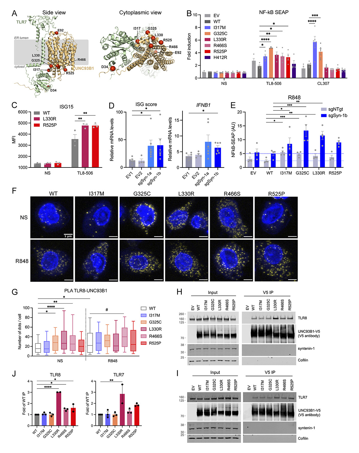 Clémence David, Yanick... - Journal of Experimental Medicine | Facebook