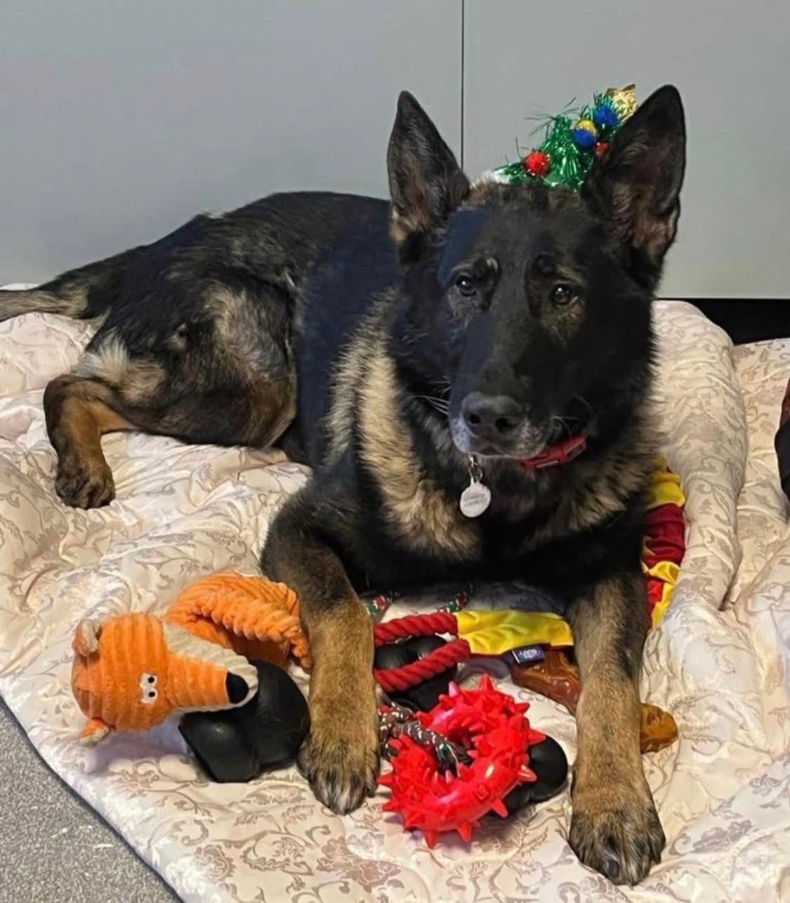 Fabulous Finn - So sorry to hear of the passing of RPD... | Facebook