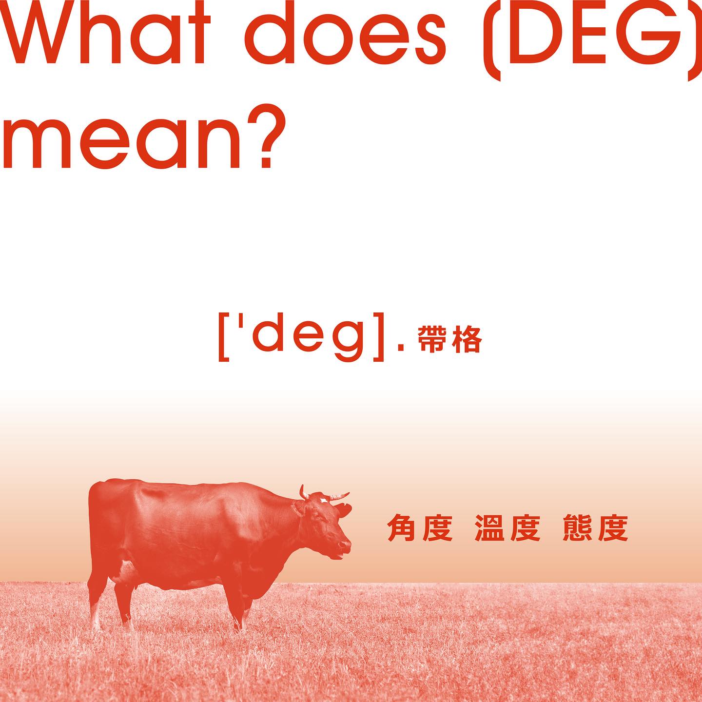 DEG 度 - ｜DEG 帶格週記｜ 再次正式跟大家打招呼， 您好，我們是DEG！ DEG是度的意思以外，... | Facebook
