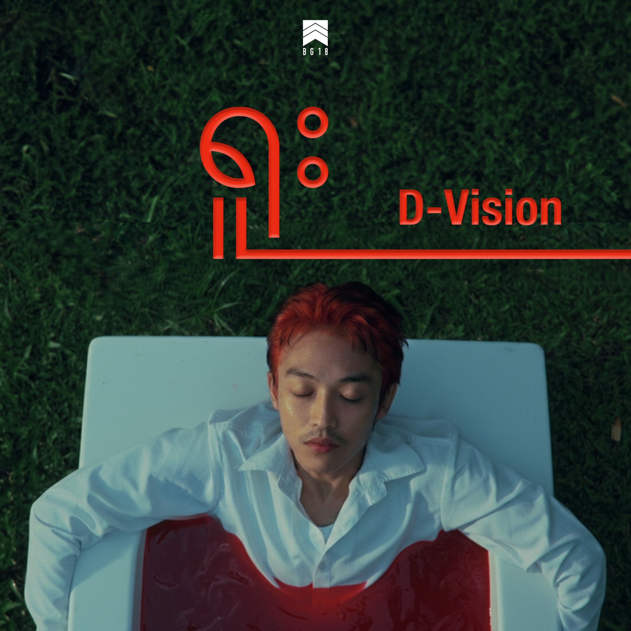 D-Vision