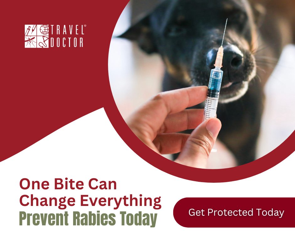 Rabies is fatal once symptoms... - Travel Doctor Corporate | Facebook