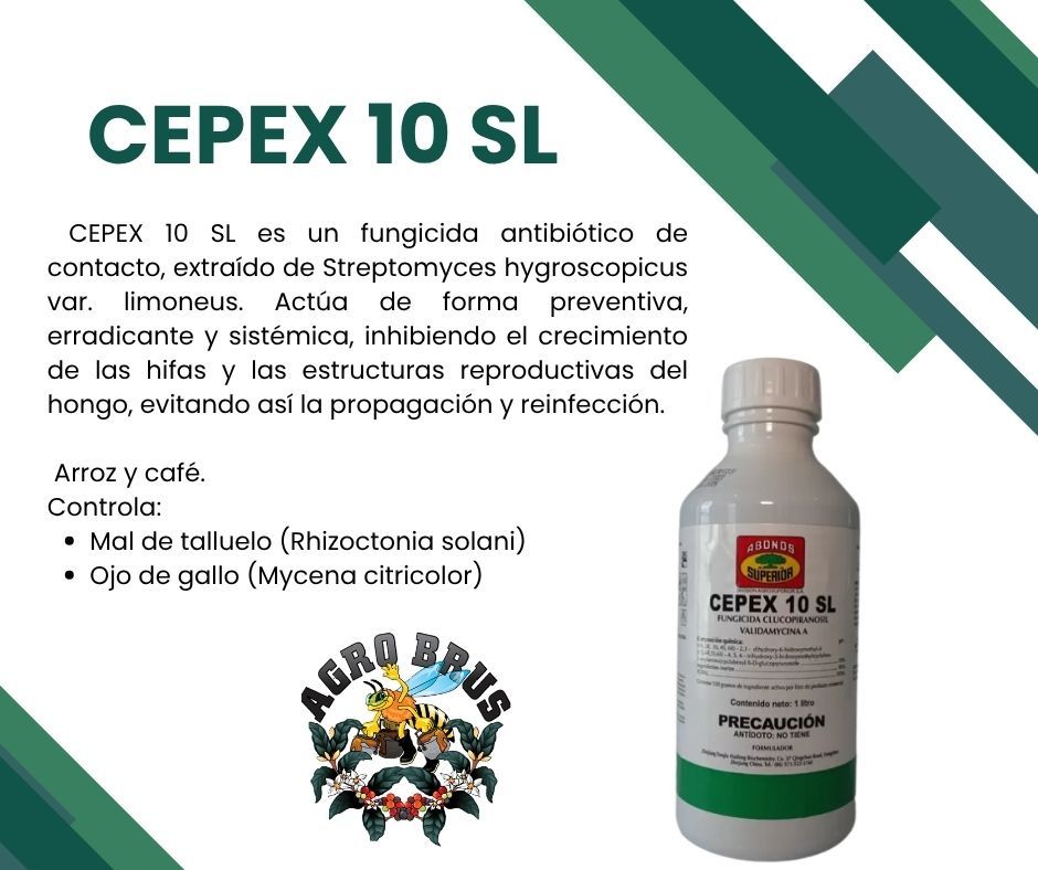 Agro Brus Ltda | San Vito de Java
