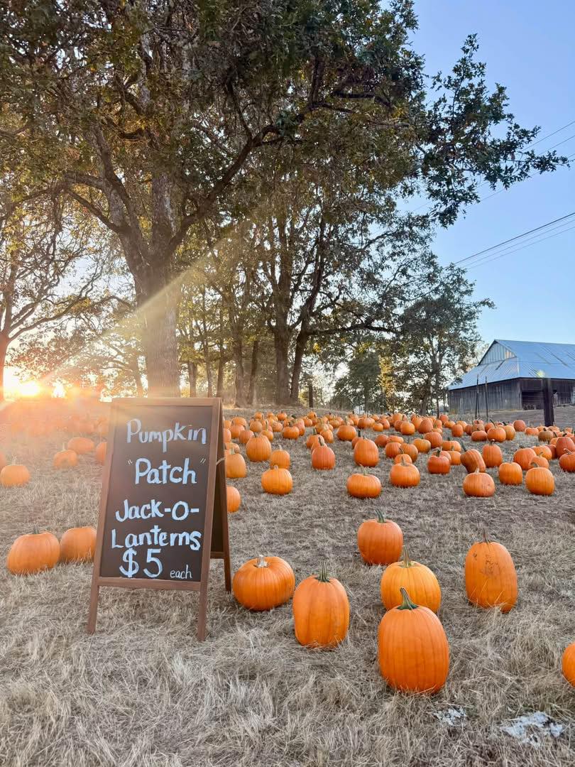 The sale is still... - Matthew Thompson Landscape Nursery | Facebook