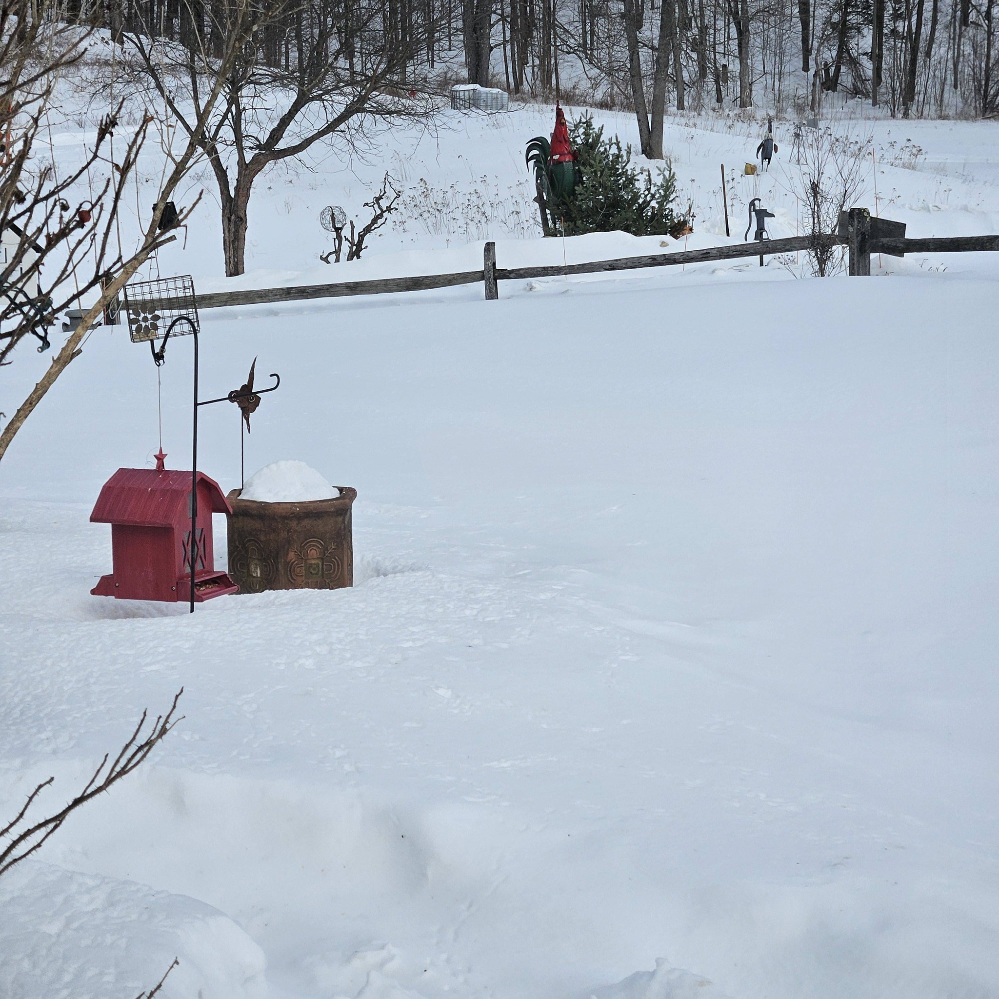 Mark Bissaillon - Snow Snow and more Snow at The Wiater... | Facebook