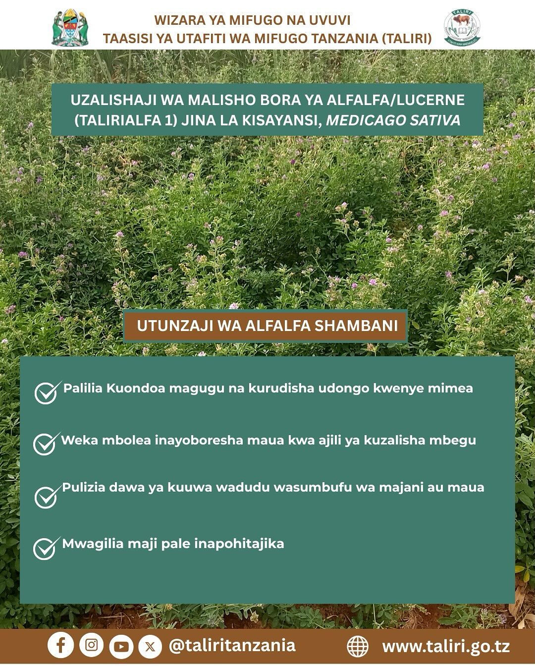Tanzania Livestock Research Institute-TALIRI | Dodoma