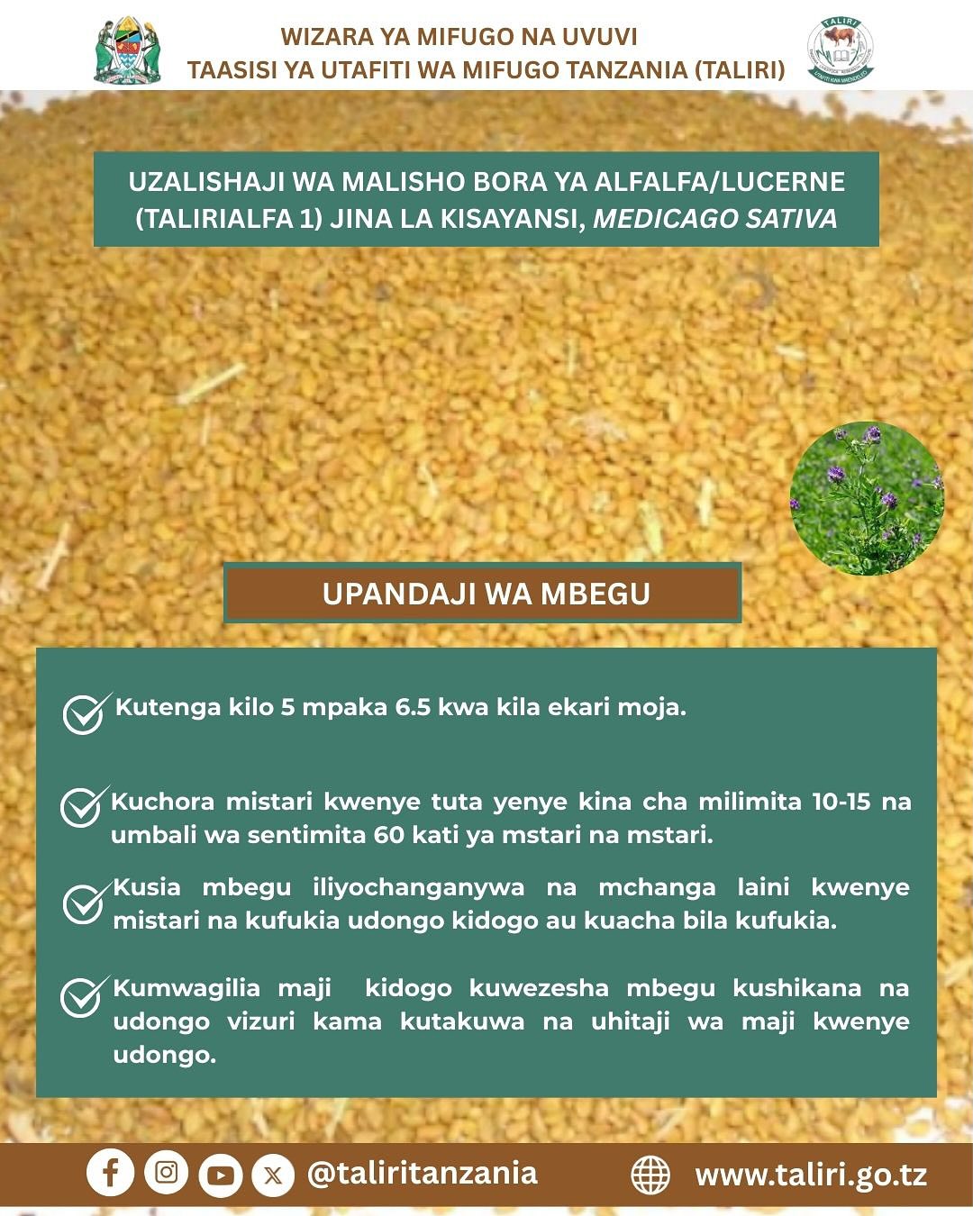 Tanzania Livestock Research Institute-TALIRI | Dodoma