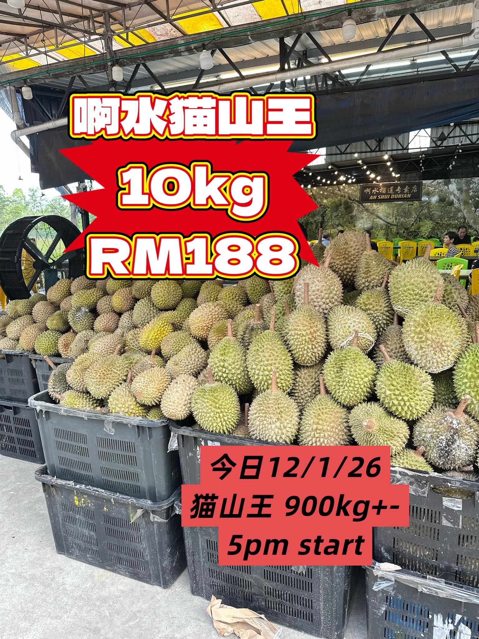 啊水榴莲专卖店- 啊水猫山王#10kgRM188🔥🔥🔥 5pm start！现场门市优惠