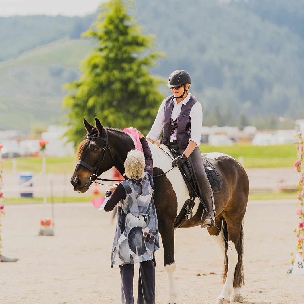 Equifest - Working Equitation New Zealand Inc is back at Equifest, with ...