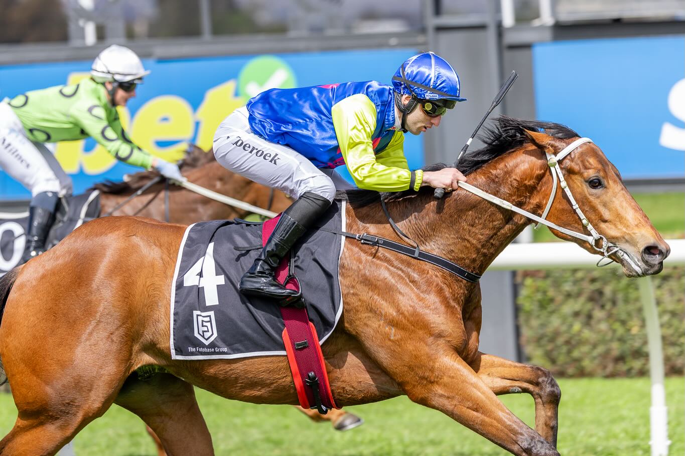 On debut, ZOUSAIN gelding VIRTUAL... - Richard Jolly Racing | Facebook