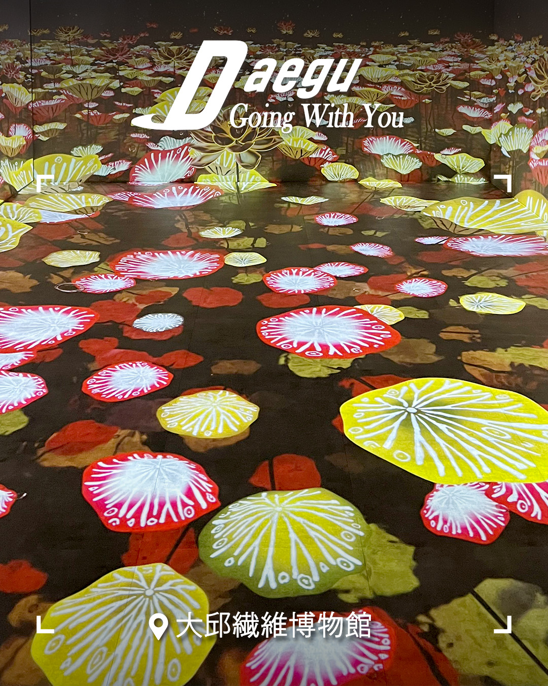 韓国の中心「大邱」 | Daegu